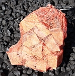 Bag of kiln dried logs